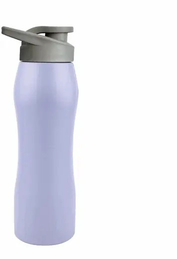 Caramañola 750ML Acero Violeta Mate Gris Selecta