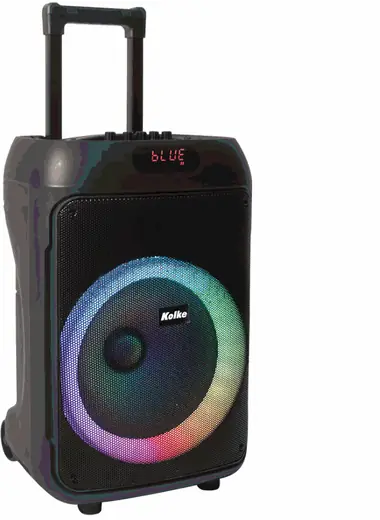Parlante Inalambrico de 12'' Fiesta FX12