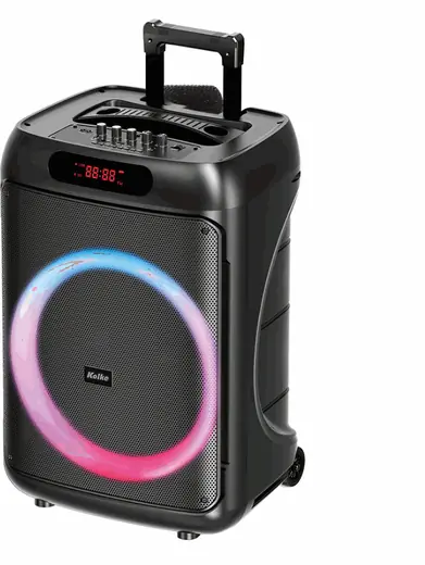 Parlante Inalambrico de 15'' Fiesta FX15
