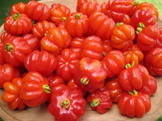 Ñangapiry