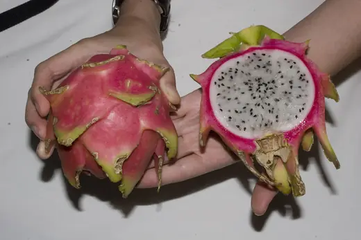 Pitahaya